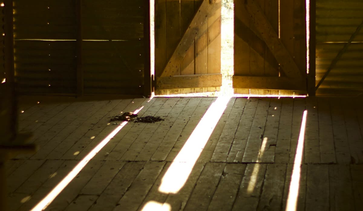 Morning light coming through an open doorway onto a wooden floor